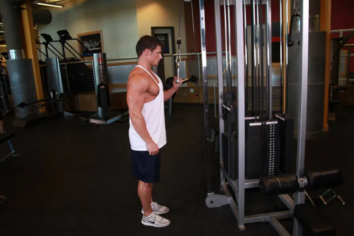 Cable One Arm Tricep Extension — contração