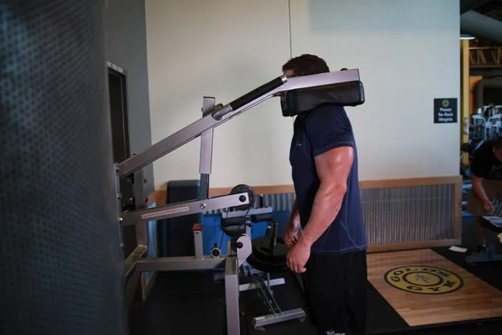 Calf-Machine Shoulder Shrug — contração