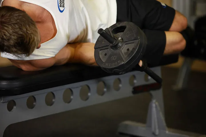 Dumbbell Lying Pronation — contração