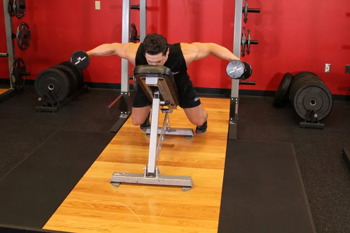 Dumbbell Lying Rear Lateral Raise — contração