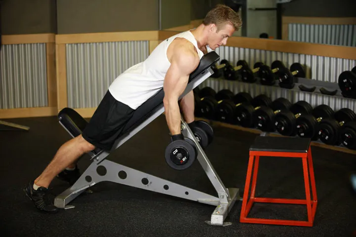 Dumbbell Prone Incline Curl — contração