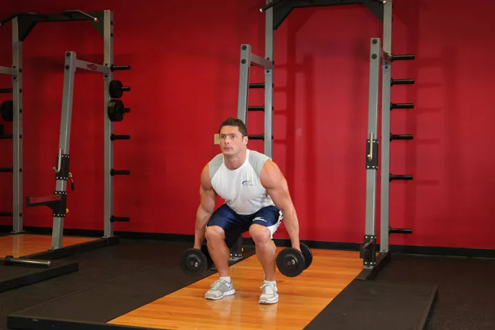 Dumbbell Squat — contração