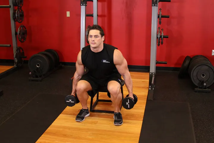 Dumbbell Squat To A Bench — contração