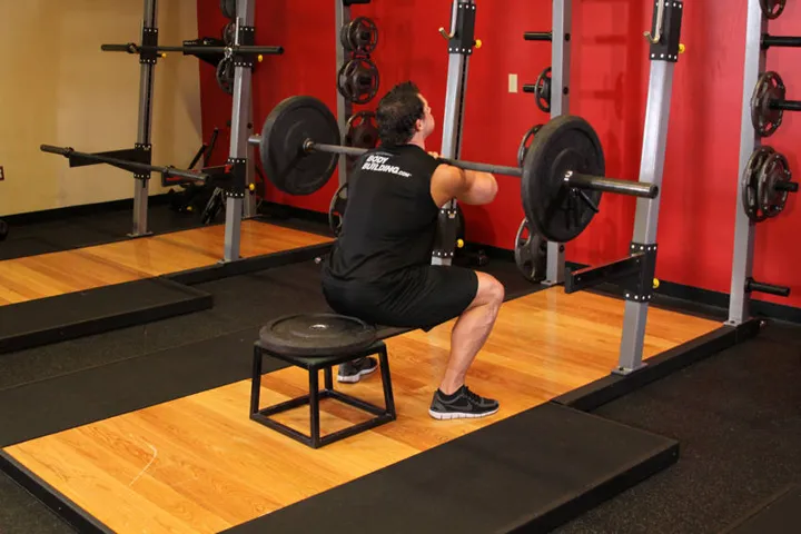 Front Barbell Squat To A Bench — contração