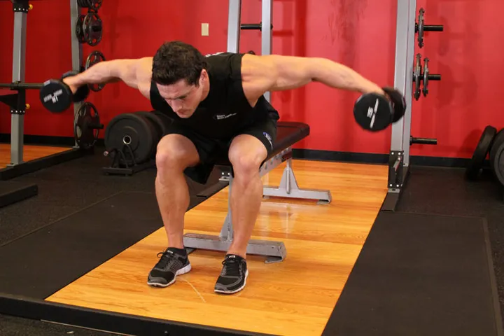 Seated Bent-Over Rear Delt Raise — contração