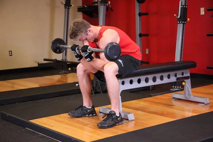 Seated Close-Grip Concentration Barbell Curl — contração