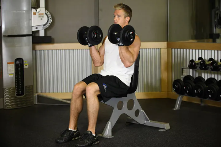 Seated Dumbbell Curl — contração