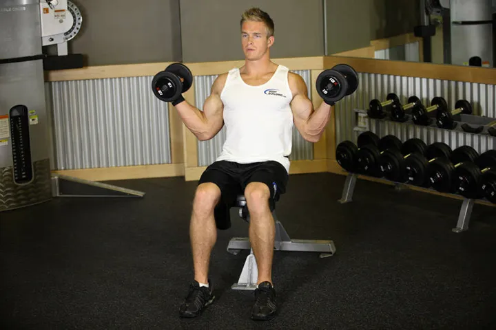 Seated Dumbbell Inner Biceps Curl — contração