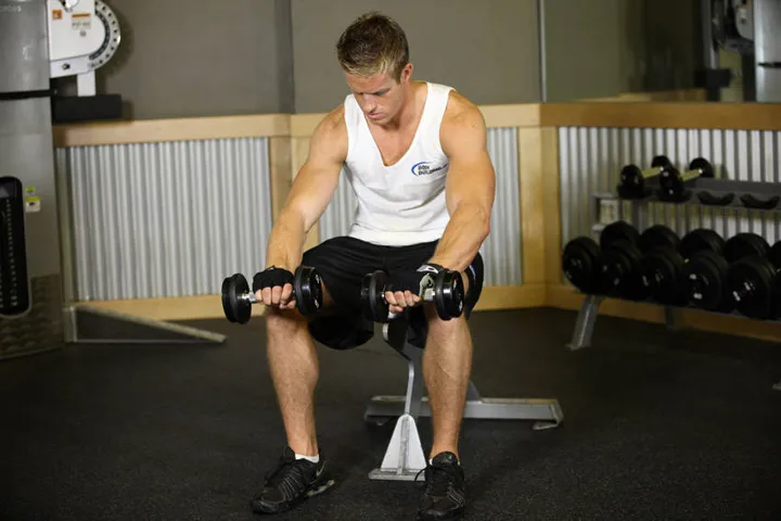 Seated Dumbbell Palms-Down Wrist Curl — contração