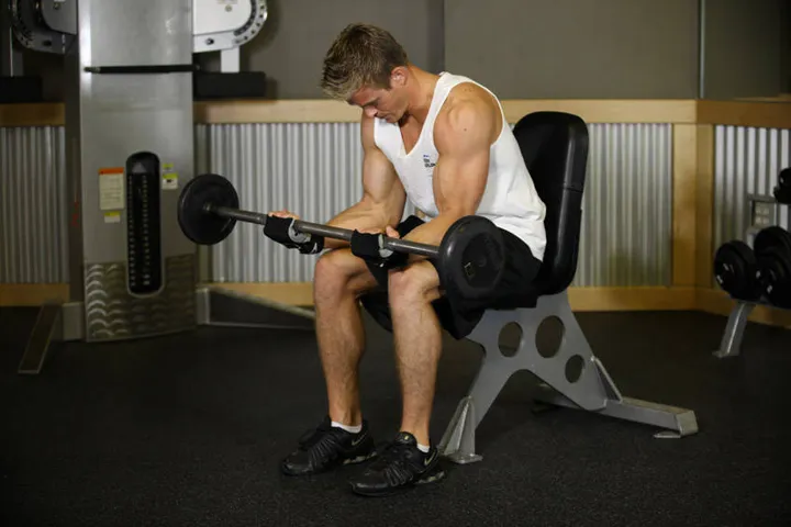 Seated Palm-Up Barbell Wrist Curl — contração