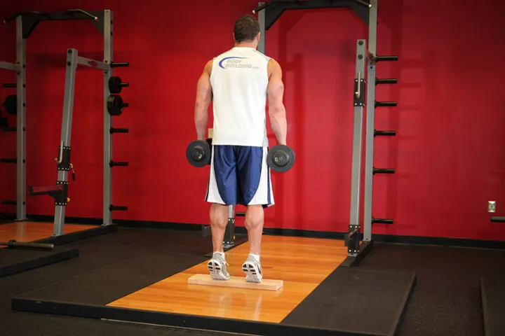 Standing Dumbbell Calf Raise — contração