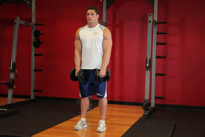 Standing Dumbbell Upright Row — contração