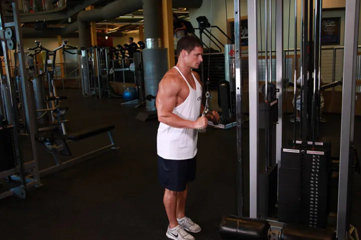 Triceps Pushdown - V-Bar Attachment — posição inicial