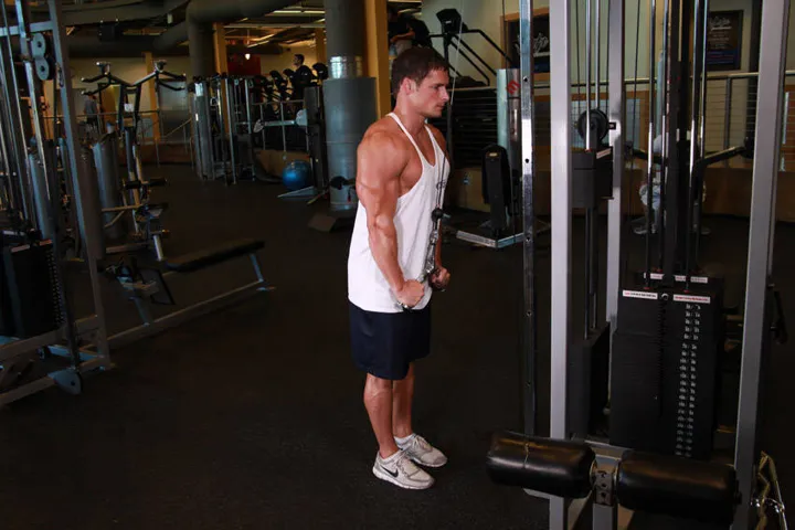 Triceps Pushdown - V-Bar Attachment — contração