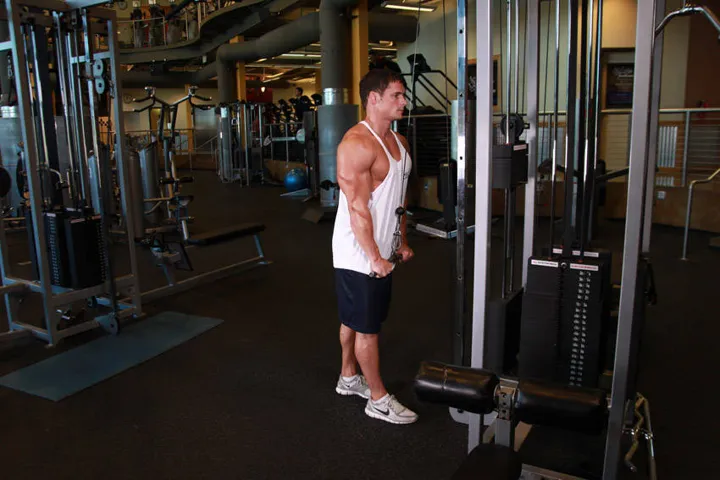 Triceps Pushdown — contração