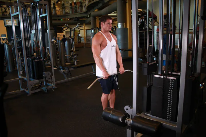 Upright Cable Row — contração